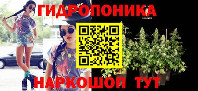 мдпв Краснознаменск