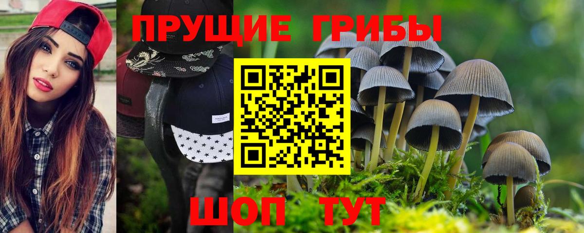Галлюциногенные грибы GOLDEN TEACHER Ижевск