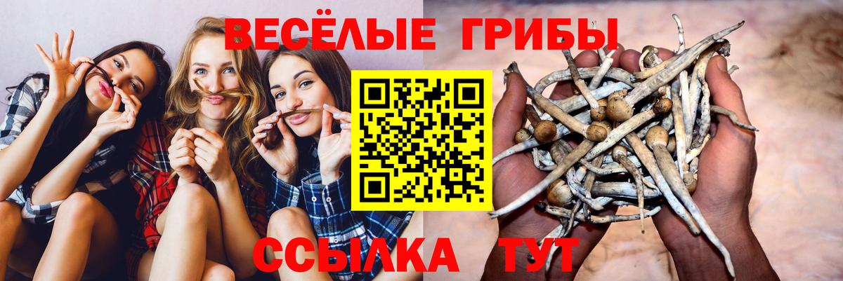 Ижевск  Галлюциногенные грибы Magic Shrooms  Вход с VPN 